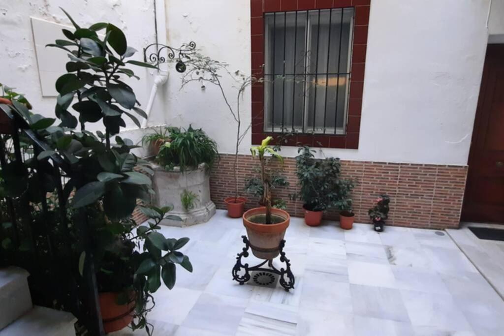 ÁTICO en el Centro al lado de la Playa Apartamento Cádiz Exterior foto